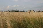 spotting_lzib-20120629_oblast-20120706_03