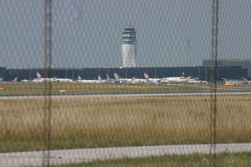 spotting-vie_42
