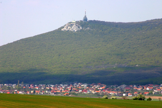 c_beladice_04